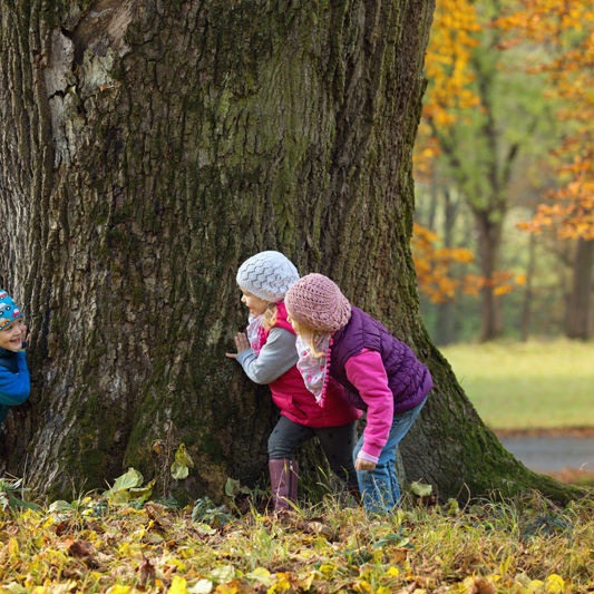 Kids PLaying Tree
